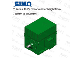 Y系列 10KV(中心高710-1000) 三相異步電動機