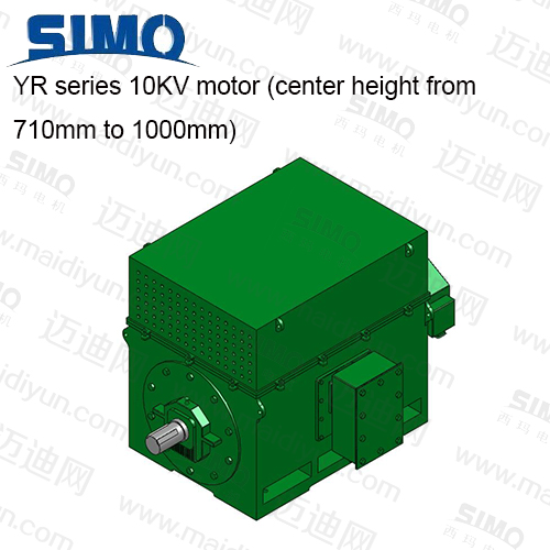 YR系列 10KV(中心高710-1000) 三相異步電動機